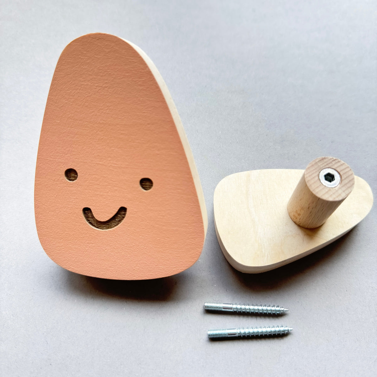 Colorful Wooden Mood Hooks