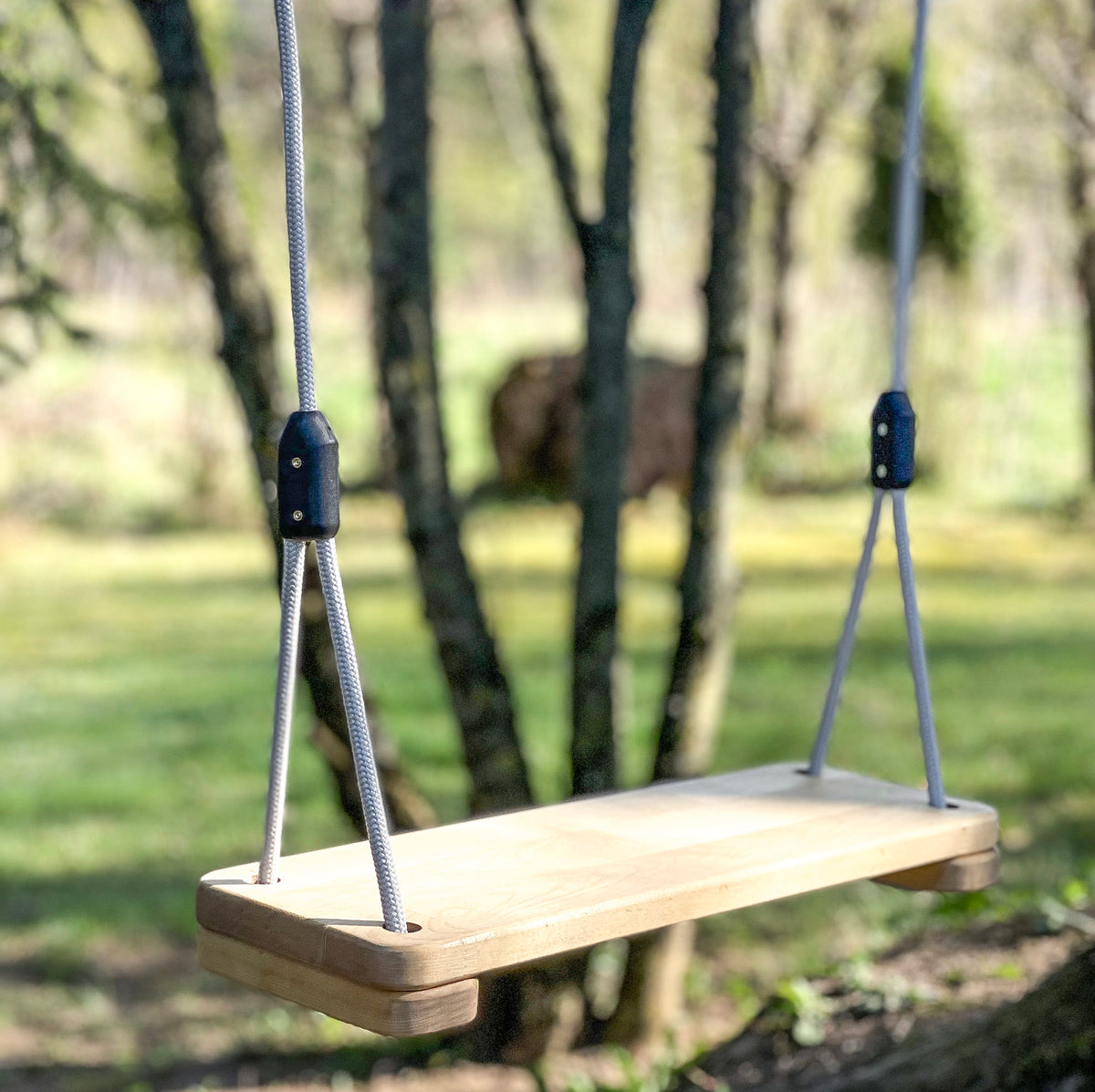 Personalized Birch Tree Swing for Kids & Adults