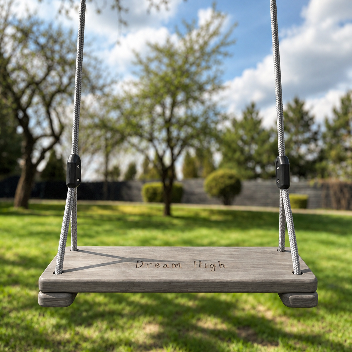 Grey Birch Tree Swing